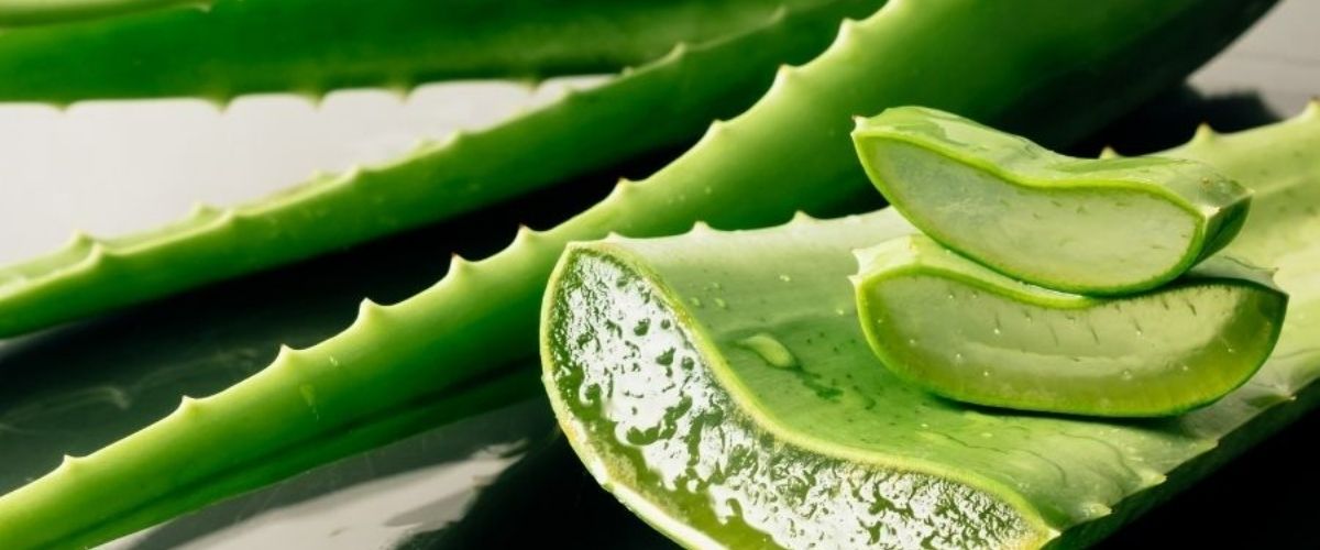 Mejores productos de Aloe vera: Propiedades, beneficios y usos